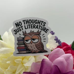 Funny Owl and Books Literature Vinyl Sticker