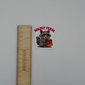 Mildly Feral Raccoon Vinyl Sticker | Cute Funny Die Cut Animal Decal