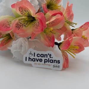 Funny Introvert Quote Vinyl Sticker I Can't Have Plans