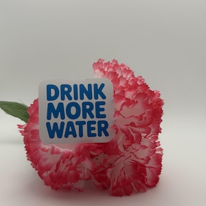 May include: A square white sticker with the blue text DRINK MORE WATER placed over a ruffled carnation flower with white petals and pink-tipped edges. The flower has a single green leaf extending from the side of the stem behind the petals.