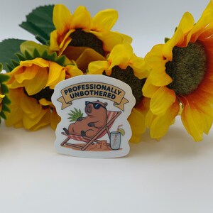 May include: A die-cut sticker featuring a brown capybara wearing black sunglasses, lounging in a red and white striped beach chair. Above the capybara is a tan banner with the text PROFESSIONALLY UNBOTHERED. A glass with a lime slice sits nearby.