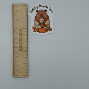 Pumpkin Spice Capybara Vinyl Sticker