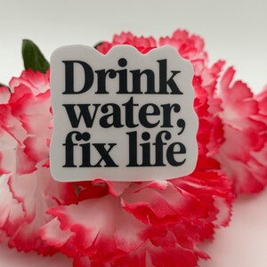 Inspirational "Drink Water Fix Life" Quote Sticker