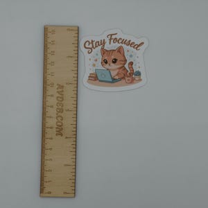 Stay Focused Cat Vinyl Sticker