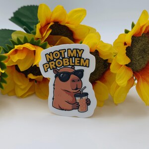 May include: A die-cut sticker featuring a brown capybara wearing black sunglasses and holding a clear plastic cup with a straw. Above the capybara, the text NOT MY PROBLEM is printed in bold yellow letters with a black outline on a white background.