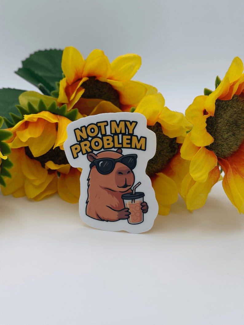 Funny Capybara Sticker Not My Problem Iced Coffee Decal