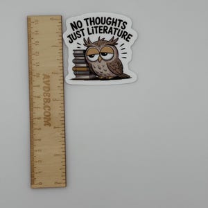 Funny Owl and Books Literature Vinyl Sticker