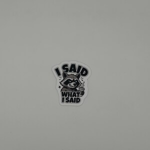 Funny Raccoon Quote Vinyl Sticker I Said What I Said