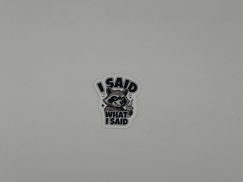 Funny Raccoon Quote Vinyl Sticker I Said What I Said