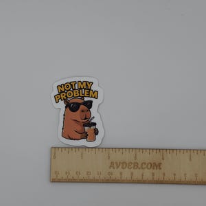 Funny Capybara Sticker Not My Problem Iced Coffee Decal