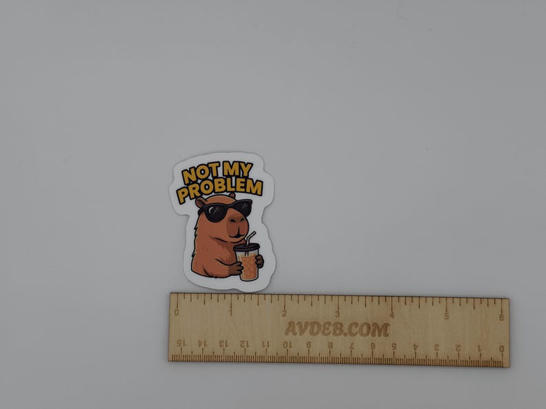 Funny Capybara Sticker Not My Problem Iced Coffee Decal