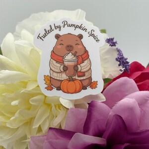 Pumpkin Spice Capybara Vinyl Sticker