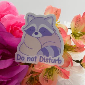 Cute Sleeping Raccoon Do Not Disturb Sticker