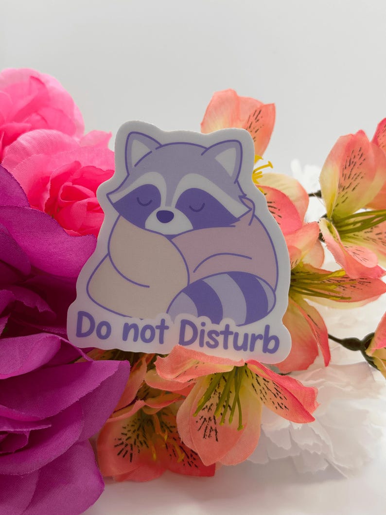Cute Sleeping Raccoon Do Not Disturb Sticker