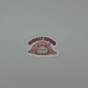 Socially Expired Cat Vinyl Sticker