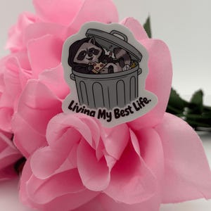 Funny Raccoon Trash Can Vinyl Sticker | Trash Panda Die Cut Decal