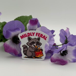 Mildly Feral Raccoon Vinyl Sticker | Cute Funny Die Cut Animal Decal