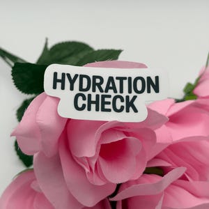 "Hydration Check" Motivational Vinyl Sticker