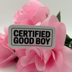 May include: A rectangular white sticker with a black border and the black text CERTIFIED GOOD BOY in a bold sans-serif font. The sticker is positioned in front of several light pink artificial rose flowers with green stems and leaves.