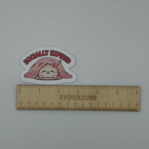 Socially Expired Cat Vinyl Sticker