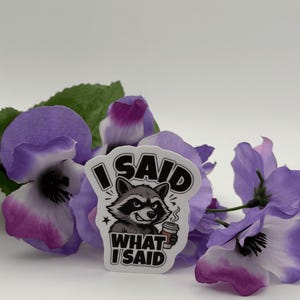 Funny Raccoon Quote Vinyl Sticker I Said What I Said