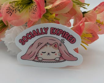 Slaperige Kat Sticker | Socially Expired Kawaii Vinyl Sticker (2,76 × 1,97 inch)