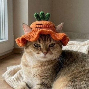 May include: A tabby cat wearing a handmade orange crochet hat shaped like a carrot. The hat has green leafy tops and a ruffled brim. The cat is lying down on a cream-colored blanket, with a neutral background.