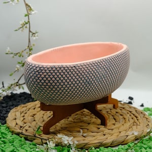 Dotted Concrete Oval Planter with Wood Stand, Textured Minimalist Succulent Pot