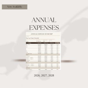 Automated Expense Tracker (3 Years) | Budget Planner Spreadsheet | Financial Tracker | Instant Download