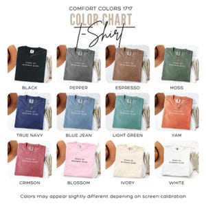 Comfort Colors 1717 t-shirt color chart with phrase "brain on airplane mode".