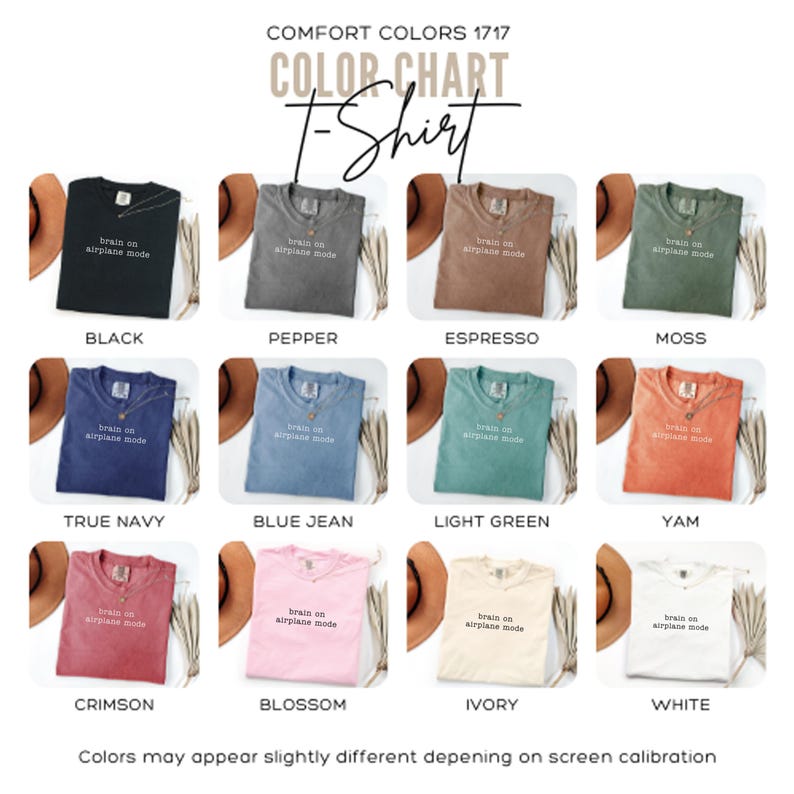 Comfort Colors 1717 t-shirt color chart with phrase "brain on airplane mode".