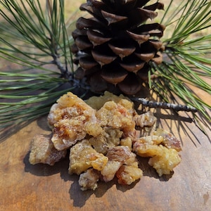 May include: A collection of small, translucent, amber-colored resin chunks with a crystalline texture. The resin pieces are clustered together, displaying irregular shapes and varying shades of gold and brown, positioned near a large brown pinecone.