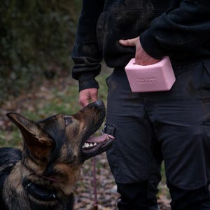 Könnte beinhalten: Ein rosa, quadratischer Hundekotbeutelspender mit dem Text "THE RAW POCKET", der von einer Person gehalten wird. Ein Deutscher Schäferhund blickt nach oben. Der Hund trägt ein schwarzes Halsband und eine Leine.