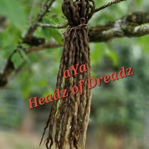 Puede incluir: Un conjunto de rastas marrones y rubias cuelga de una rama de árbol. Las rastas están atadas en la parte superior con hilo. El texto "aYa Headz of Dreadz" está escrito en rojo en la imagen.