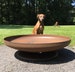 42 inch Shallow Depth Steel Fire Pit - Custom Fire Pit - Outdoor Fire Pit - Metal Fire Pit