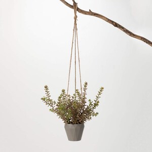 May include: A gray geometric hanging planter with a green succulent plant inside. The planter is suspended from a branch by a brown twine rope.