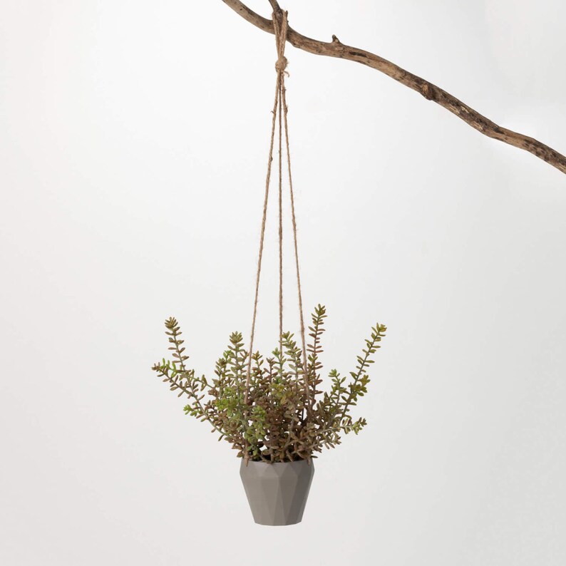 May include: A gray geometric hanging planter with a green succulent plant inside. The planter is suspended from a branch by a brown twine rope.