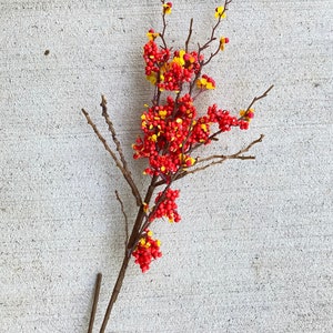 Fall Bittersweet Berry Stem, Orange and Red Berries, Artificial Berry Twigs, Faux Berries, Fall Decor, Berry Pick, Berry Stem, Farmhouse