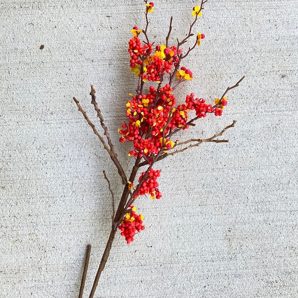 Fall Bittersweet Berry Stem, Orange and Red Berries, Berry Twigs, Faux Berries, Fall Decor, Fall Flowers, Berry Pick, Berry Stem, Farmhouse