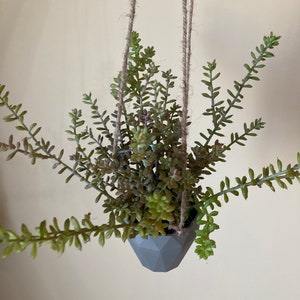 May include: A gray geometric hanging planter with a succulent plant. The planter is made of a textured material and has a rope hanging system.