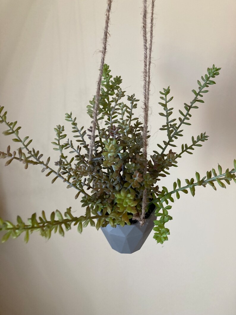 May include: A gray geometric hanging planter with a succulent plant. The planter is made of a textured material and has a rope hanging system.