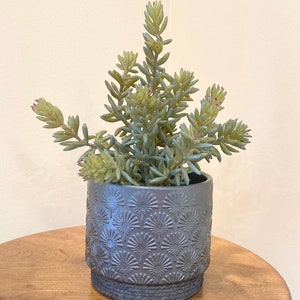 Artificial Sedum Plant: Fake Succulent Stem in Black Pot