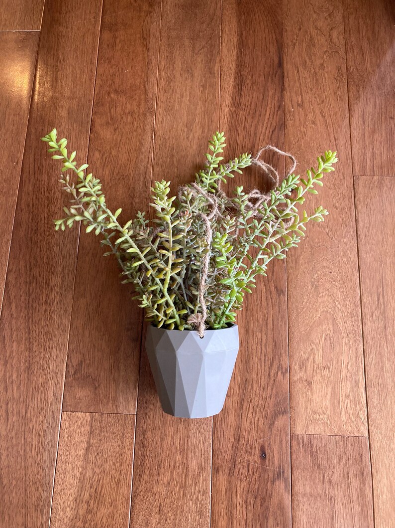 May include: A gray geometric planter with a hanging succulent plant. The plant has long, thin green leaves.