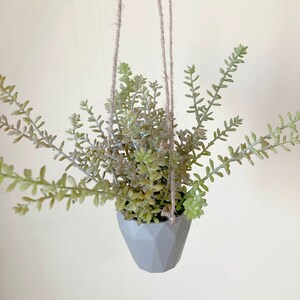 May include: A gray geometric hanging planter with a green succulent plant. The planter is suspended from the ceiling with twine.