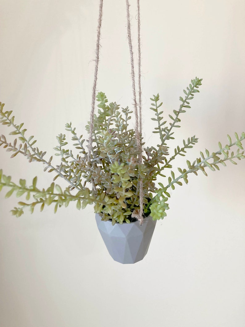 May include: A gray geometric hanging planter with a green succulent plant. The planter is suspended from the ceiling with twine.