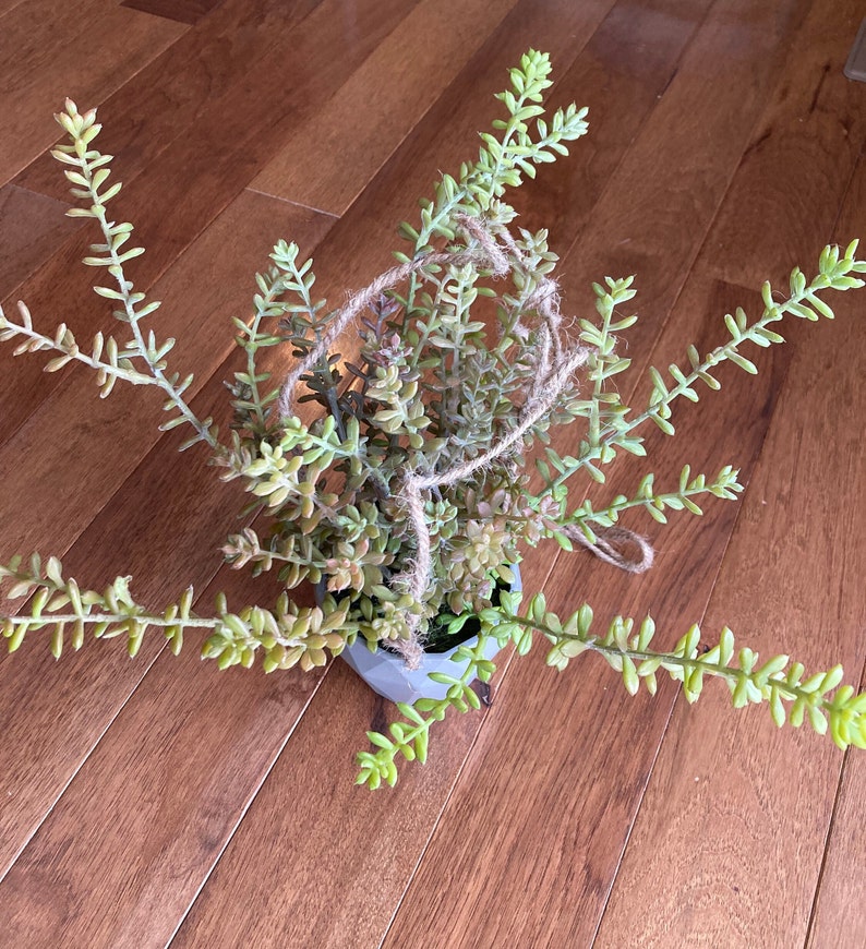 Artificial Hanging Succulent: Faux Sedum Plant in Geometric Pot image 7
