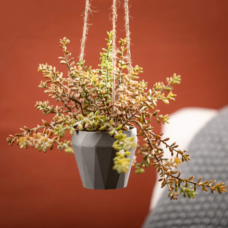 May include: A hanging planter with a gray geometric design, filled with a succulent plant with green and brown leaves.