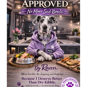 May include: A Great Dane wearing a purple hoodie with the word "RAVEN" on it, sitting in front of a kitchen counter. The image includes text that says "RAVEN APPROVED" and "No More Sad Bowls." A dog bowl with food is in front of the dog.
