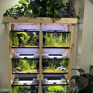 May include: A wooden aquarium stand with six glass tanks, each filled with aquatic plants and gravel. The stand is topped with a large pot of green leafy plants and a decorative stone turtle. The tanks are lit with overhead lights.