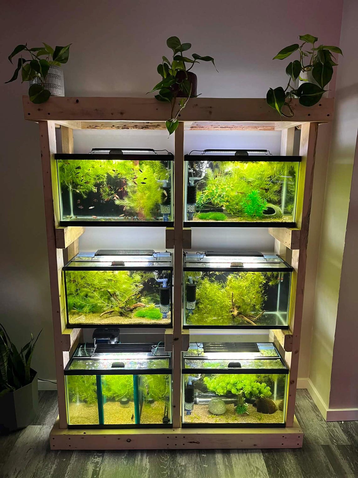 DIY Aquarium Tank Rack Plans — 6x10 Gallon Stand Build, 2x4 Lumber ...